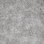 Moises Bowl - Image 7