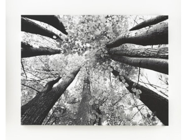 Ananya Wall Art Art Ashley Furniture