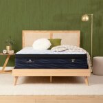 iComfortECO Q20GL Firm Pillow Top Firm Back Sleeper 18